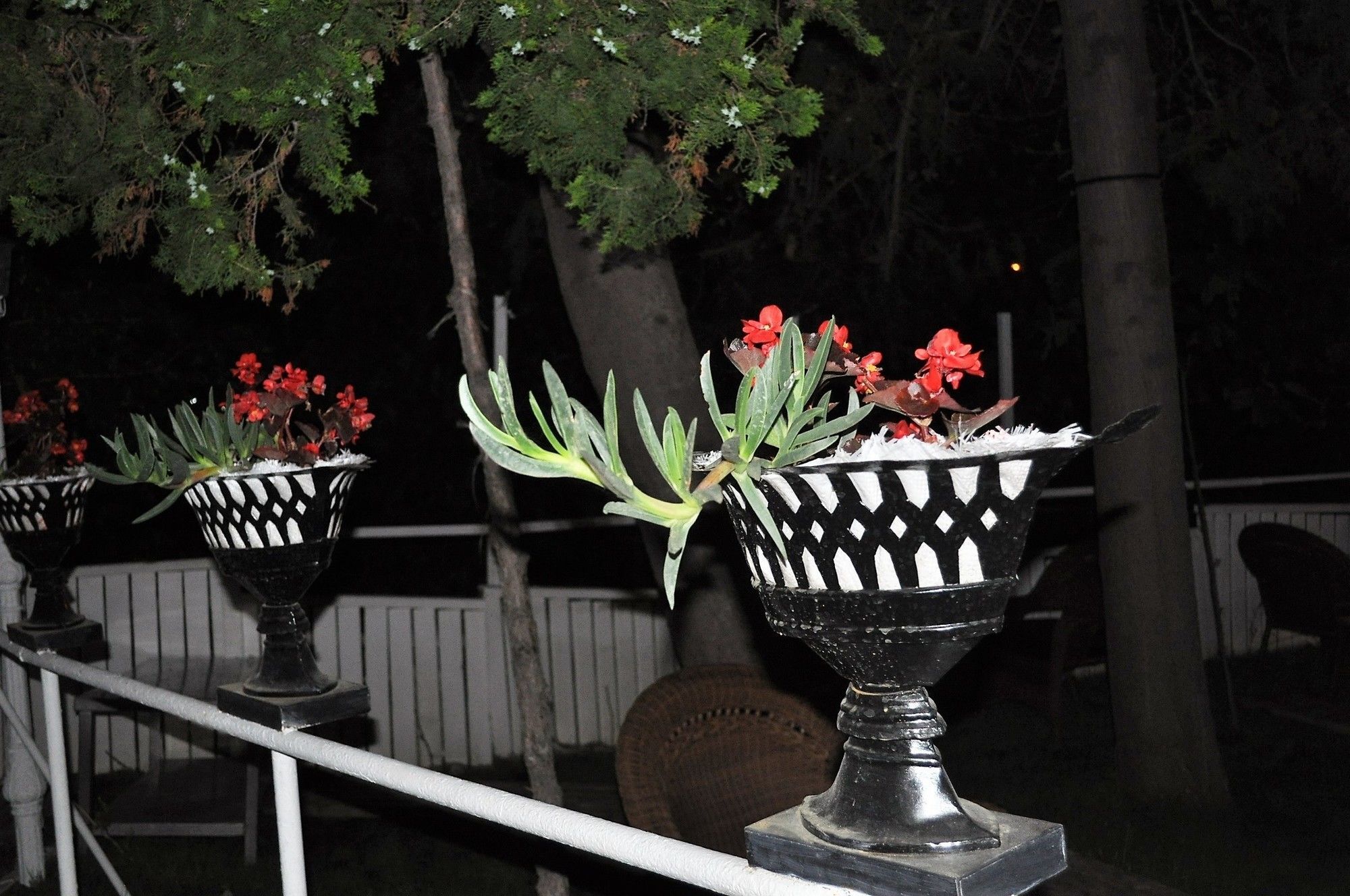 Syedra Princess Hotel Mahmutlar Luaran gambar